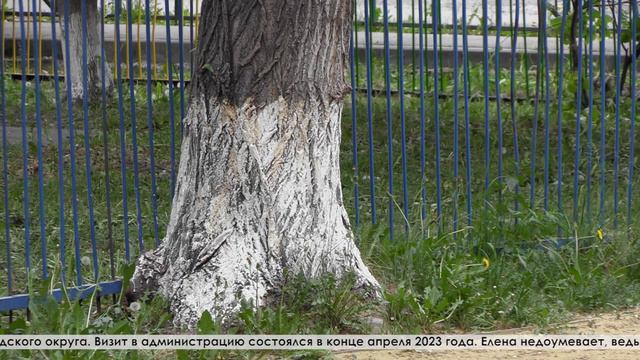 Встревоженные жители дома по адресу Каляева,13 давно просят убрать тополя и упавшие огромные ветки смотреть онлайн