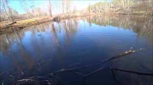 Рыбалка на Подъёмник паук!  Куда столько рыбы девать?