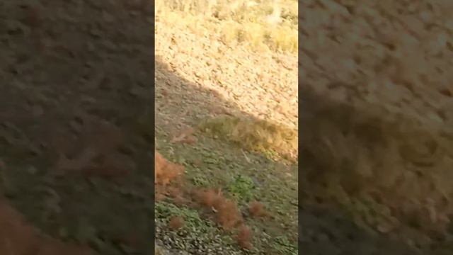 сейчас на плонташке воды нет а раньше была жаль что воды нет сейчас😔💙 смотреть онлайн