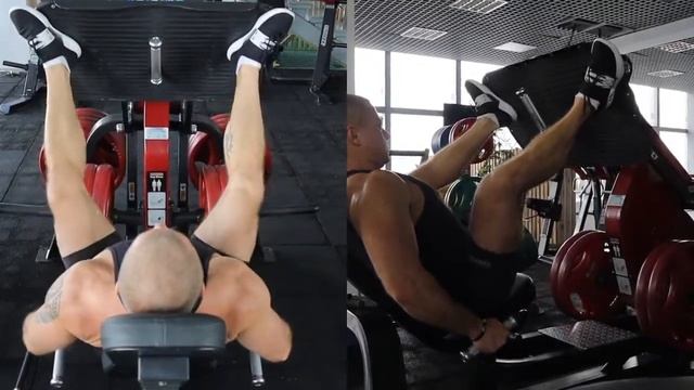 Жим ногами в тренажере смотреть онлайн
