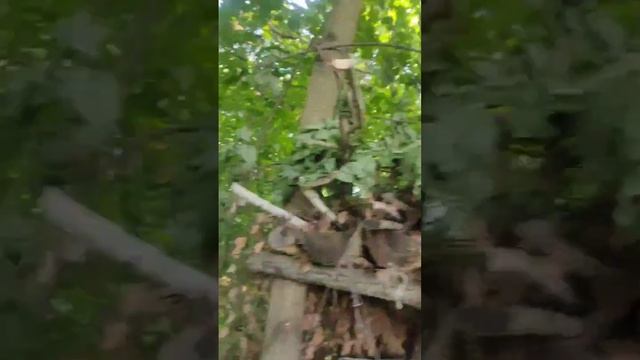 шалаш для детей ,#шалаш ,#дети ,#дача ,#игры ,#игрушки ,#гуляния,#shorts смотреть онлайн