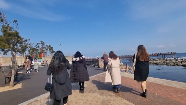 Pohang vlog| Korea Travel vlog | When the Camellia Blooms filming location |호미곳 |포항 브이로그 |Korea vlo смотреть онлайн