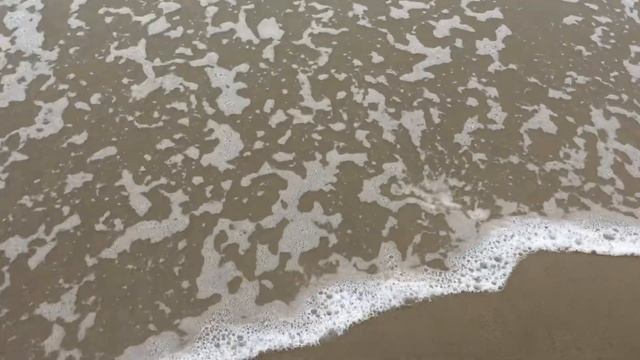 Santa Monica State beach смотреть онлайн