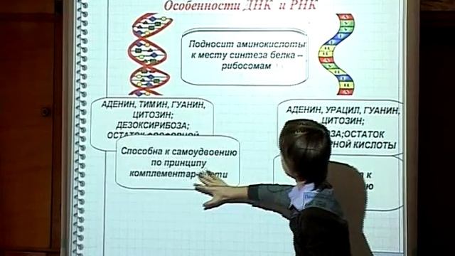 Лучшие трюки