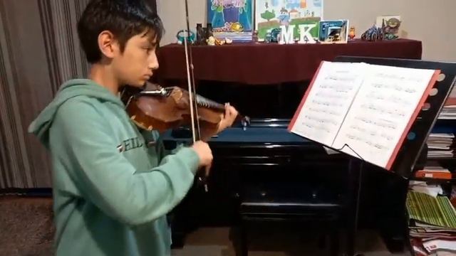 Butterfly Lover (Violin 🎻 )