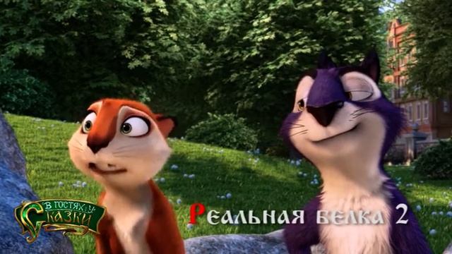 Реальная белка смотреть онлайн