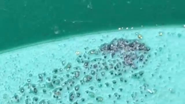 Как и с чем искать золото. Успех старателя в качественном и проверенном оборудовании от Дипсис смотреть онлайн