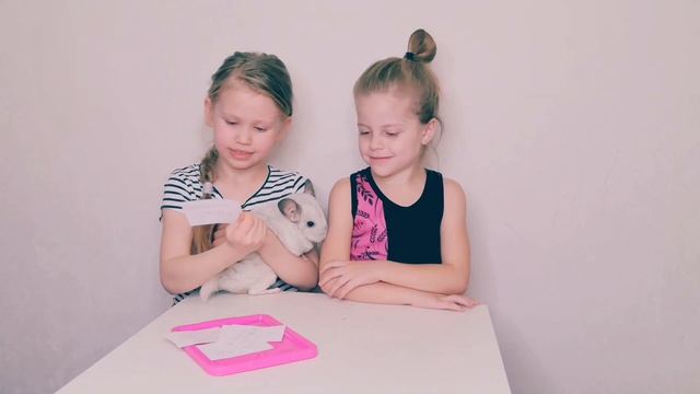 Гимнастика VS Шиншилла. Как у Viki Show смотреть онлайн