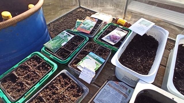 Посев капусты! смотреть онлайн