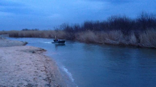 Болотоход на песке