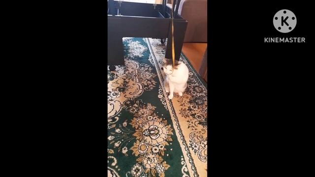 Мила и сантиметр... смотреть онлайн