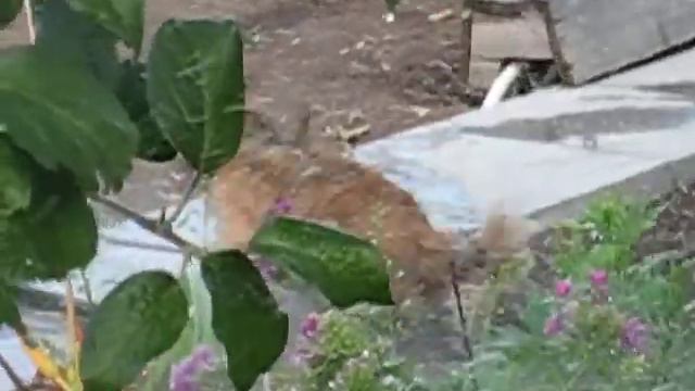 Вот что значит отличное лето смотреть онлайн