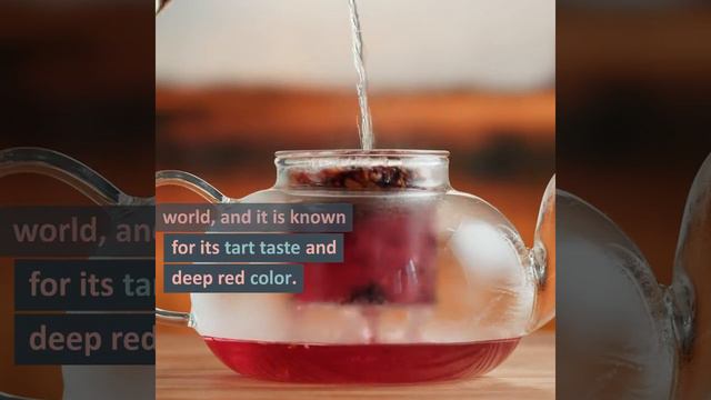 How Hibiscus Tea Outperforms Medications for Hypertension смотреть онлайн