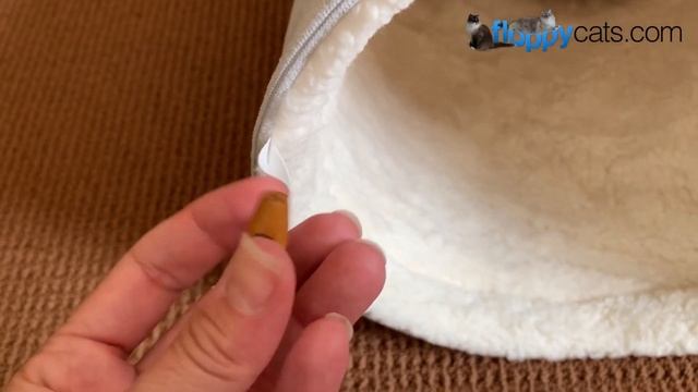 Best Cat Tunnel Indoor for Large Cats - Litterbox.com Cat Tunnel Unboxing смотреть онлайн