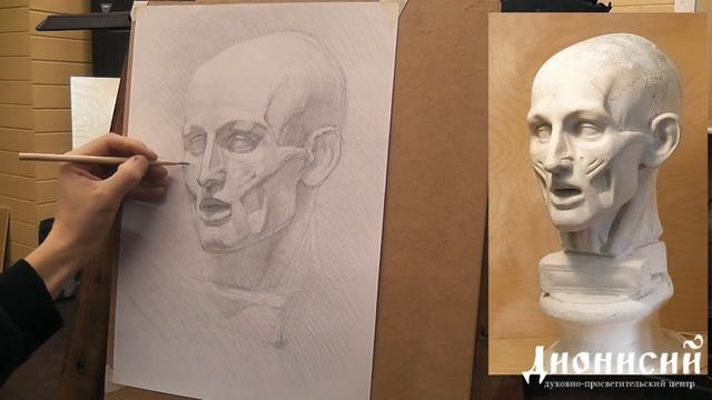 Рисунок экорше головы 4 часть смотреть онлайн