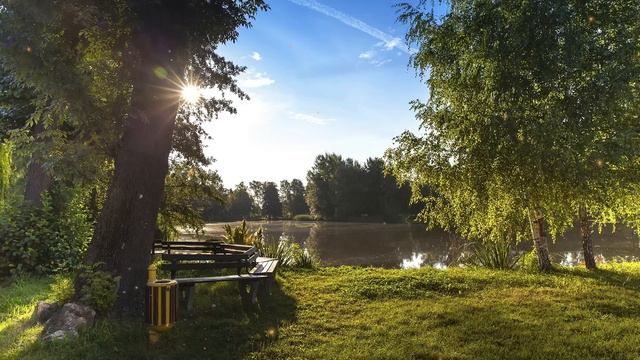 🍀 Positive energy 🍀 Shofik-Sunset Melodies смотреть онлайн