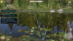 Русская рыбалка 4! Старый Острог делаем куски рыбы и ловим на них!