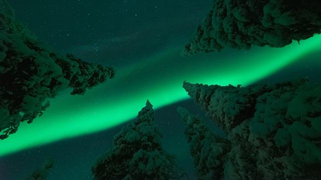 ЗИМА, КОТОРУЮ Я ЗНАЛ смотреть онлайн