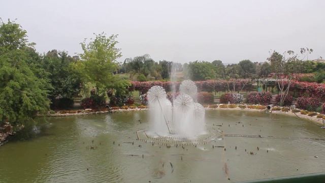 музыкальный фонтан парк Утопия Израиль смотреть онлайн