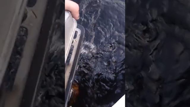 лодочный мотор салют 2 выход на глисс смотреть онлайн