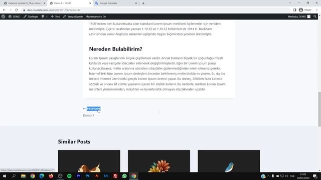 WordPress Tema ve Eklenti Türkçeleştirme - Loco Translate смотреть онлайн
