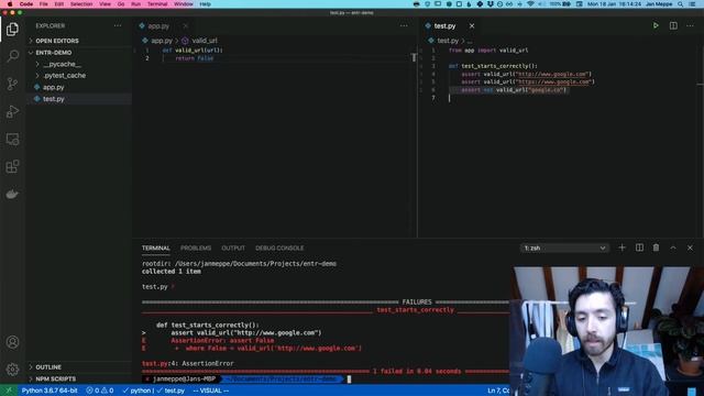 Automate running your python tests with entr (linux/bash tool) смотреть онлайн