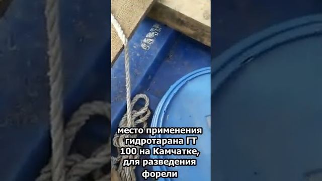 Камчатка ! Новый объект для установки Гидротарана ГТ-100 для разведения форели! смотреть онлайн