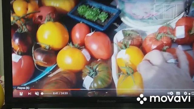 Обзор сортов томатов на 2021. Всхожесть семян/? двойник. смотреть онлайн