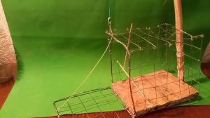 Ловушка простой западок из строительной сетки, для мелких птиц