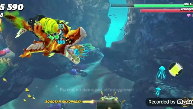 Hungry Shark World. Купил новую особую акулу Полураспада. Есть небольшое продолжение... смотреть онлайн