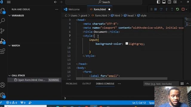 HTML form, placeholder and CSS смотреть онлайн