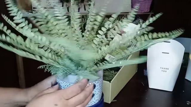 Plantita para decorar tu baño DIY tutorial #38 смотреть онлайн