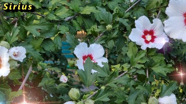 5 ноября день Якова: что категорически нельзя делать смотреть онлайн