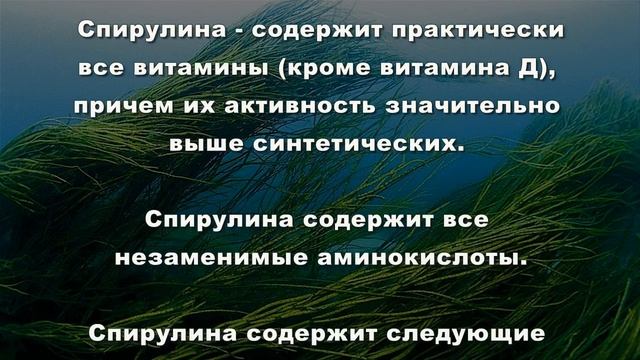 «ACLON» Новый продукт СПИРУЛИНА смотреть онлайн