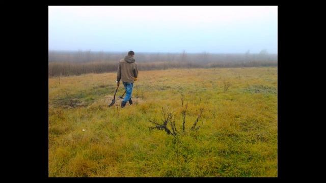 жизнь кладоискателя смотреть онлайн