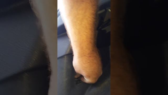 13 Ford Focus rear brake light turn signal bulb re смотреть онлайн