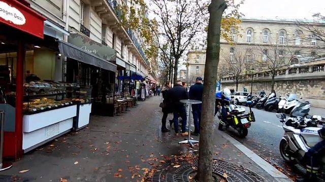 Notre-Dame de Paris Update + Quai Saint-Michel Walking Tour смотреть онлайн