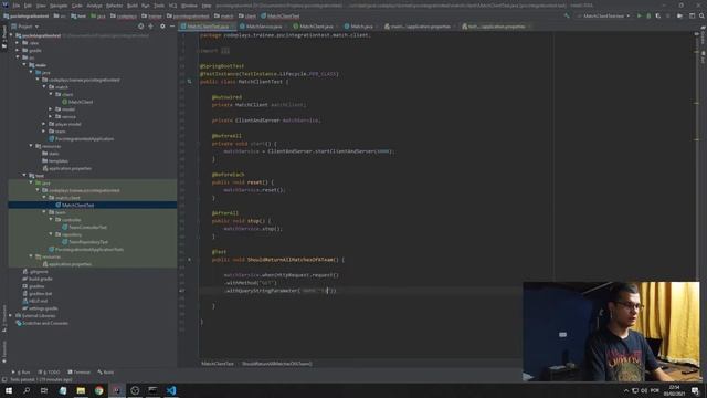 #6 - Testes de Integração - Como testar a camada de Clients (FeignClient + MockServer) смотреть онлайн