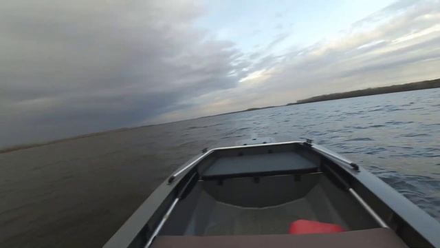 Swimmer по волне