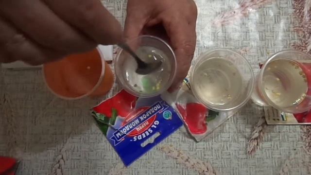 Подготовка семян перца для посева. Мои сорта перца смотреть онлайн