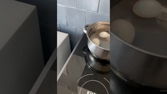 Инструкция по включению плиты Мира 27 смотреть онлайн