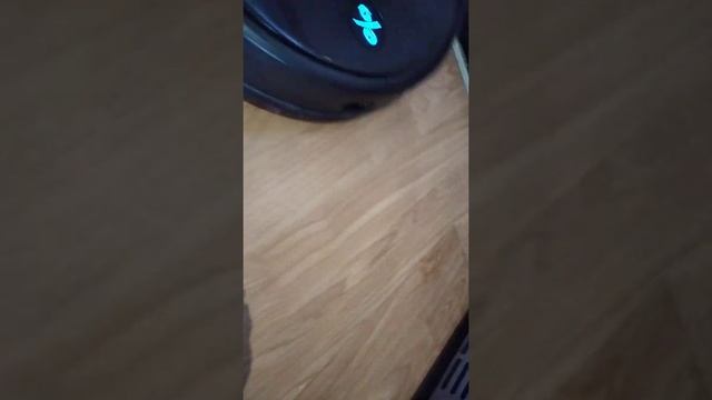Viomi v3 - 4 months old dumping water all over the floor смотреть онлайн