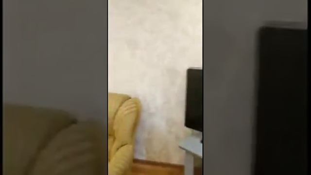 Суточная аренда???Ялта смотреть онлайн