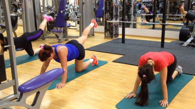 Круговая тренировка 15.08.2016 смотреть онлайн