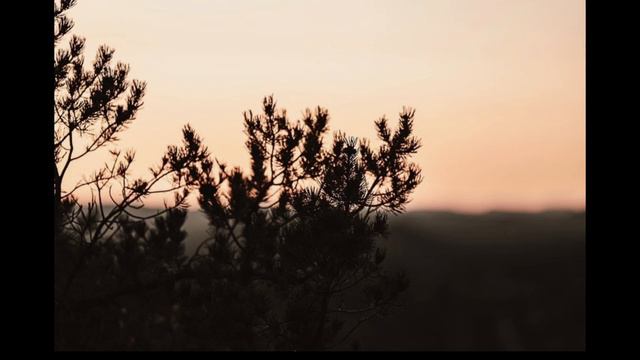 Chill day with Lofi Music смотреть онлайн