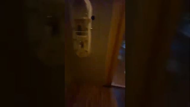 коттедж для первокласнного  отдыха в Санкт-Петербурге, пос.Парголово