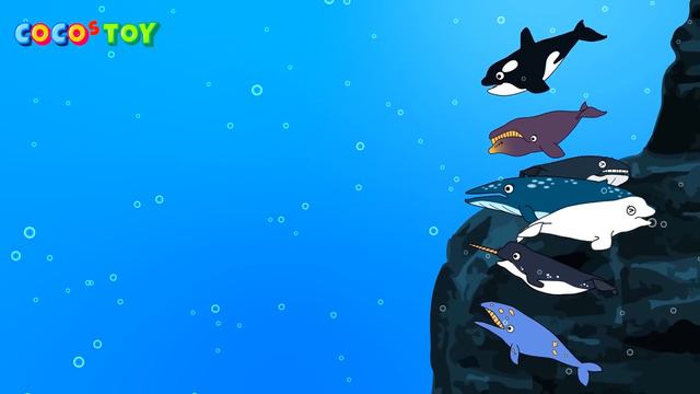 If a giant octopus and a giant squid fight, who will win?ㅣsea animals for kidsㅣCoCosToy смотреть онлайн