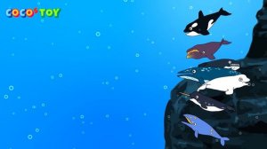 If a giant octopus and a giant squid fight, who will win?ㅣsea animals for kidsㅣCoCosToy