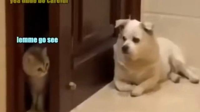 Посмотри за дверью смотреть онлайн