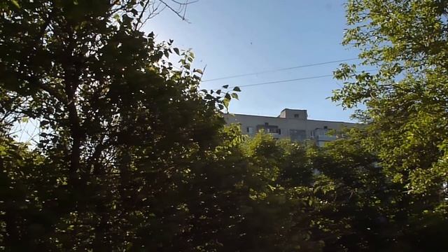 СМОРОДИНА С САХАРОМ. СТАТУЭТКА. ПТИЧКИ ИЗ ОКНА ;). смотреть онлайн